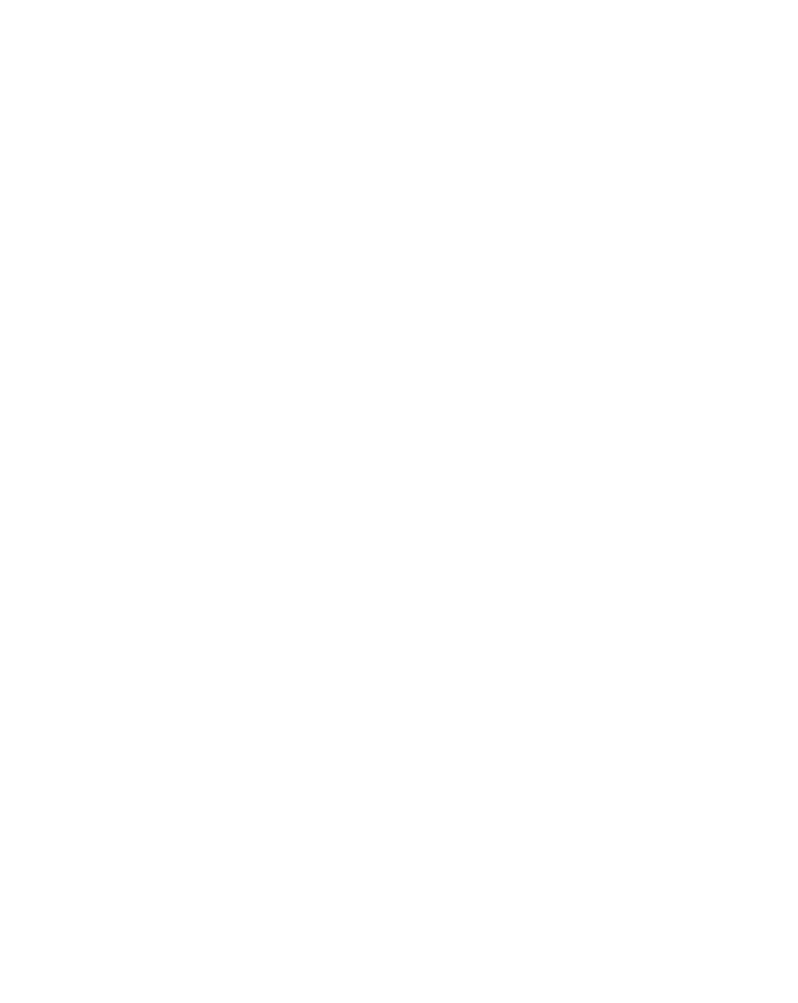 Healy Sports Logo